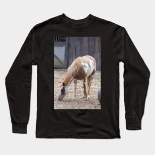 American Paint Horse Long Sleeve T-Shirt